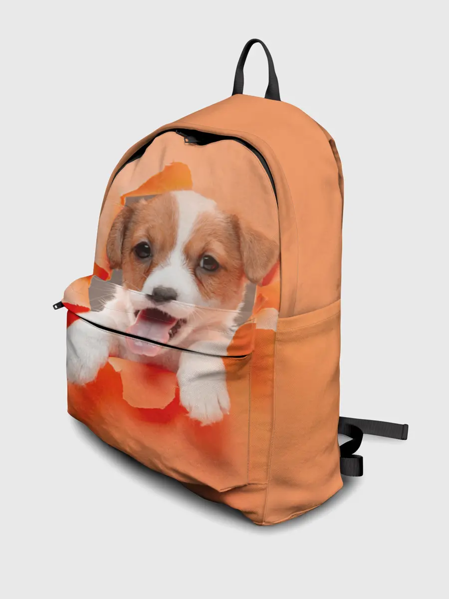 Рюкзак джинсовый / Собака