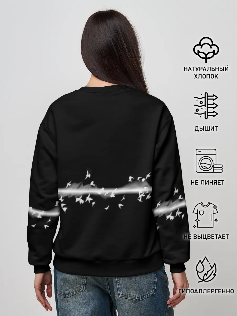 Женский свитшот / Pink Floyd