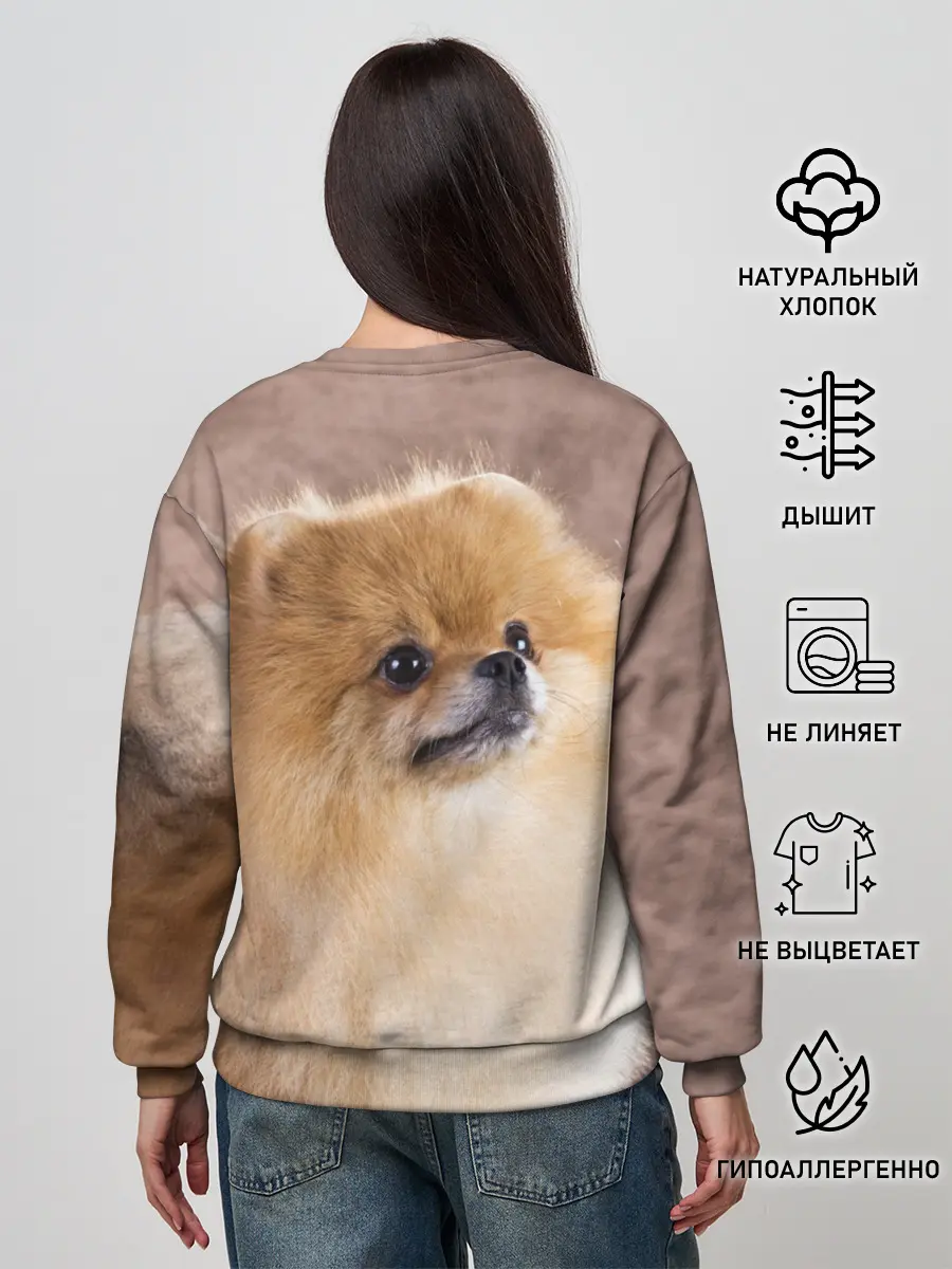 Женский свитшот / Шпитс