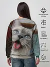 Женский свитшот / Сиамский котенок