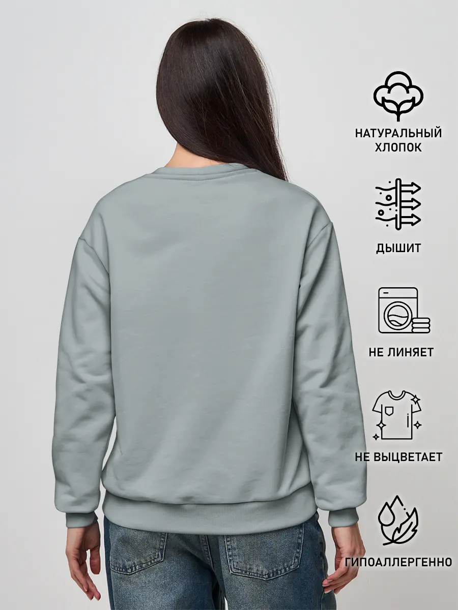 Женский свитшот / Как приручить дракона