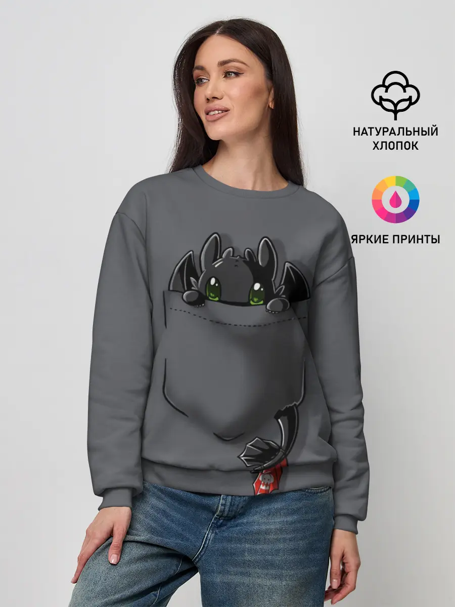 Женский свитшот / Как приручить дракона