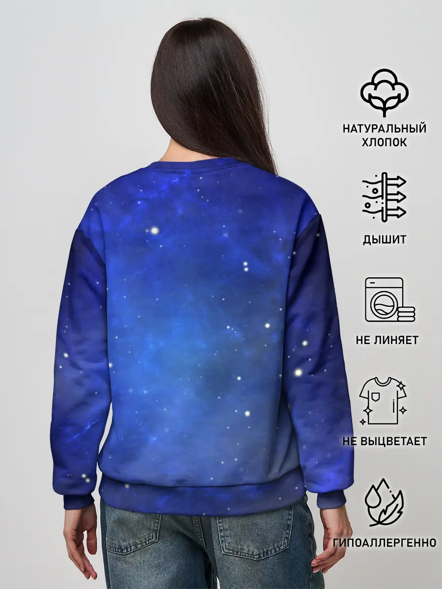 Женский свитшот / Night Fury