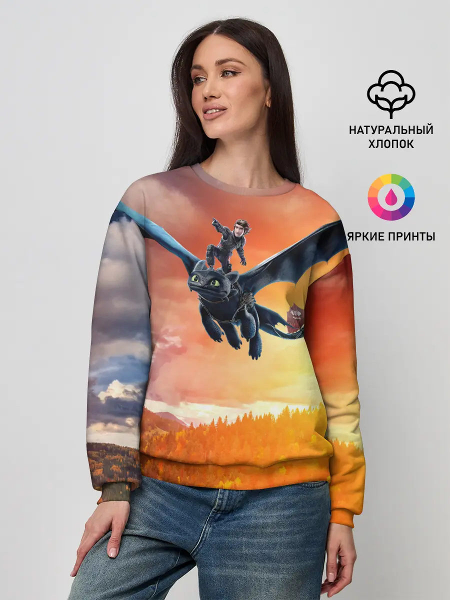 Женский свитшот / Night Fury