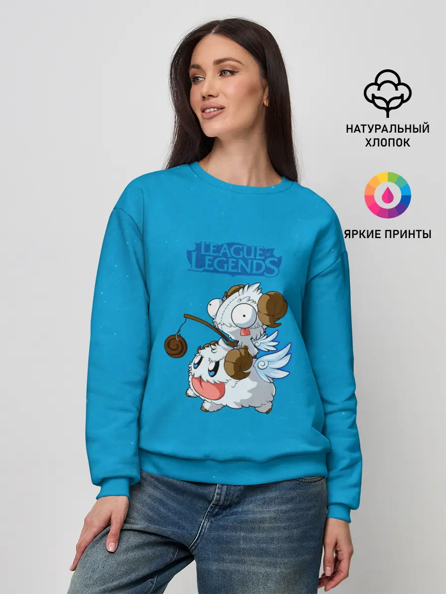 Женский свитшот / Invader Poro Pix