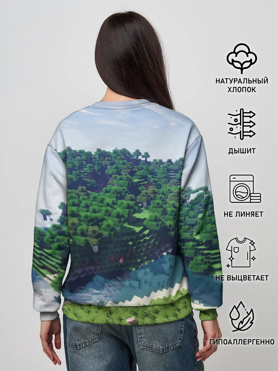 Женский свитшот / Minecraft