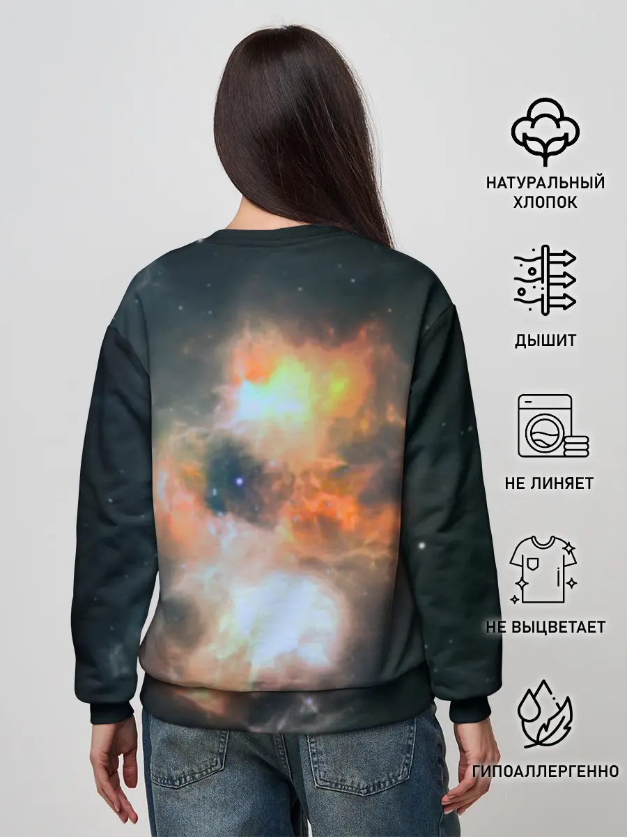 Женский свитшот / Night Fury