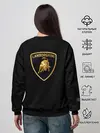 Женский свитшот / Lambo