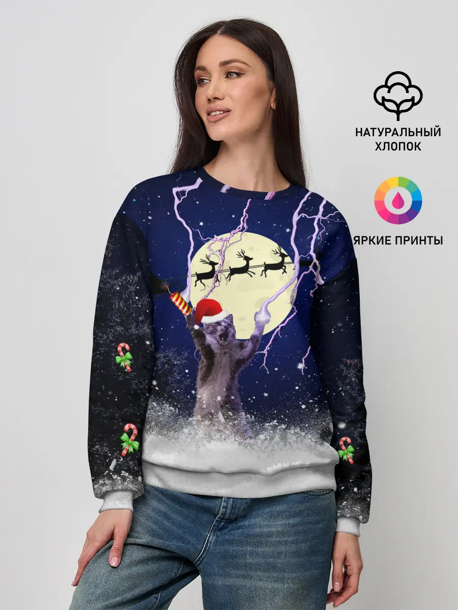 Женский свитшот / Новогодний Кот