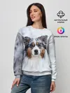 Женский свитшот / Австралийская овчарка