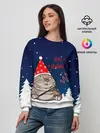 Женский свитшот / Вжух и Новый Год