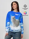 Женский свитшот / Кот в облаках
