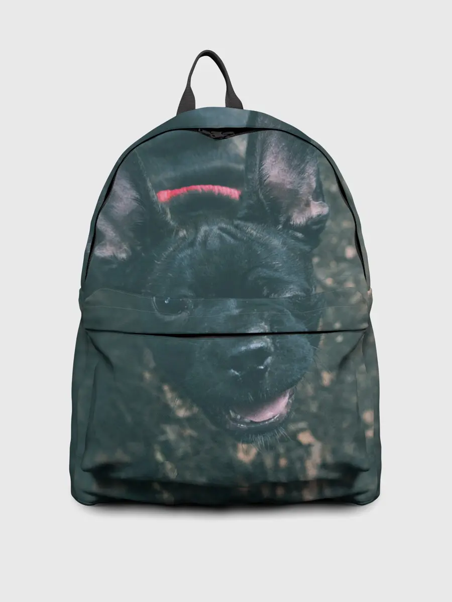 Рюкзак джинсовый / Бульдог морда собакена черного