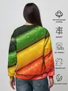 Женский свитшот / Цветные линии