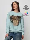 Женский свитшот / Беспородная Собака дворняга / A Dog