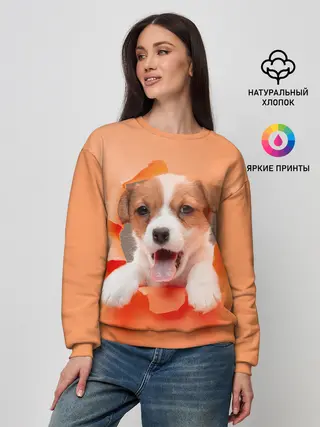Женский свитшот / Собака
