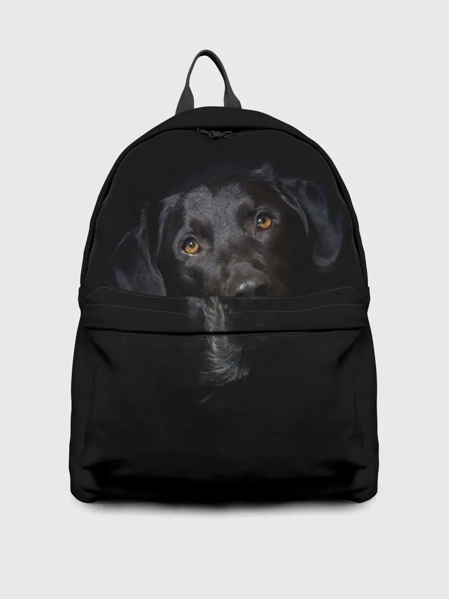 Рюкзак джинсовый / Пес