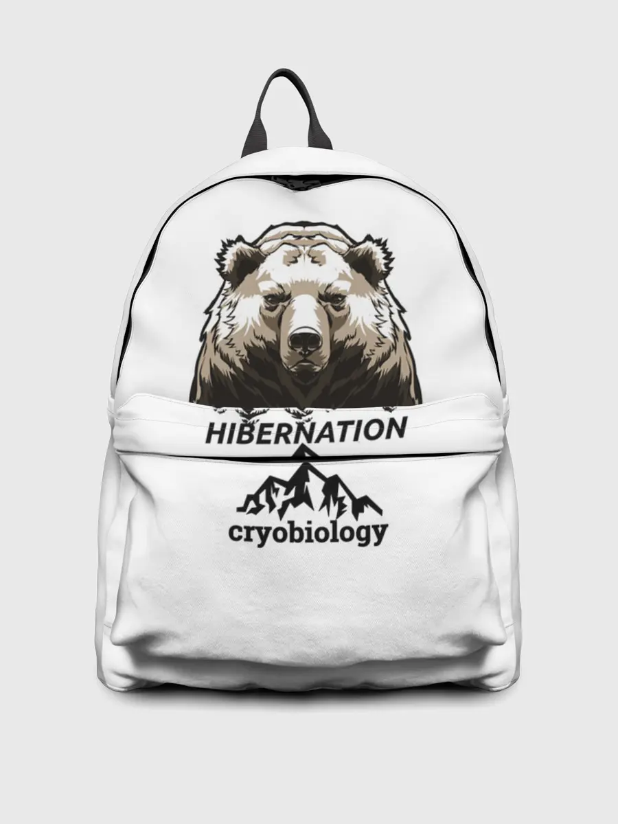 Рюкзак джинсовый / hibernation