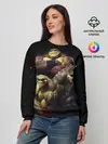 Женский свитшот / Battletoads