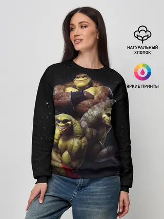 Женский свитшот / Battletoads