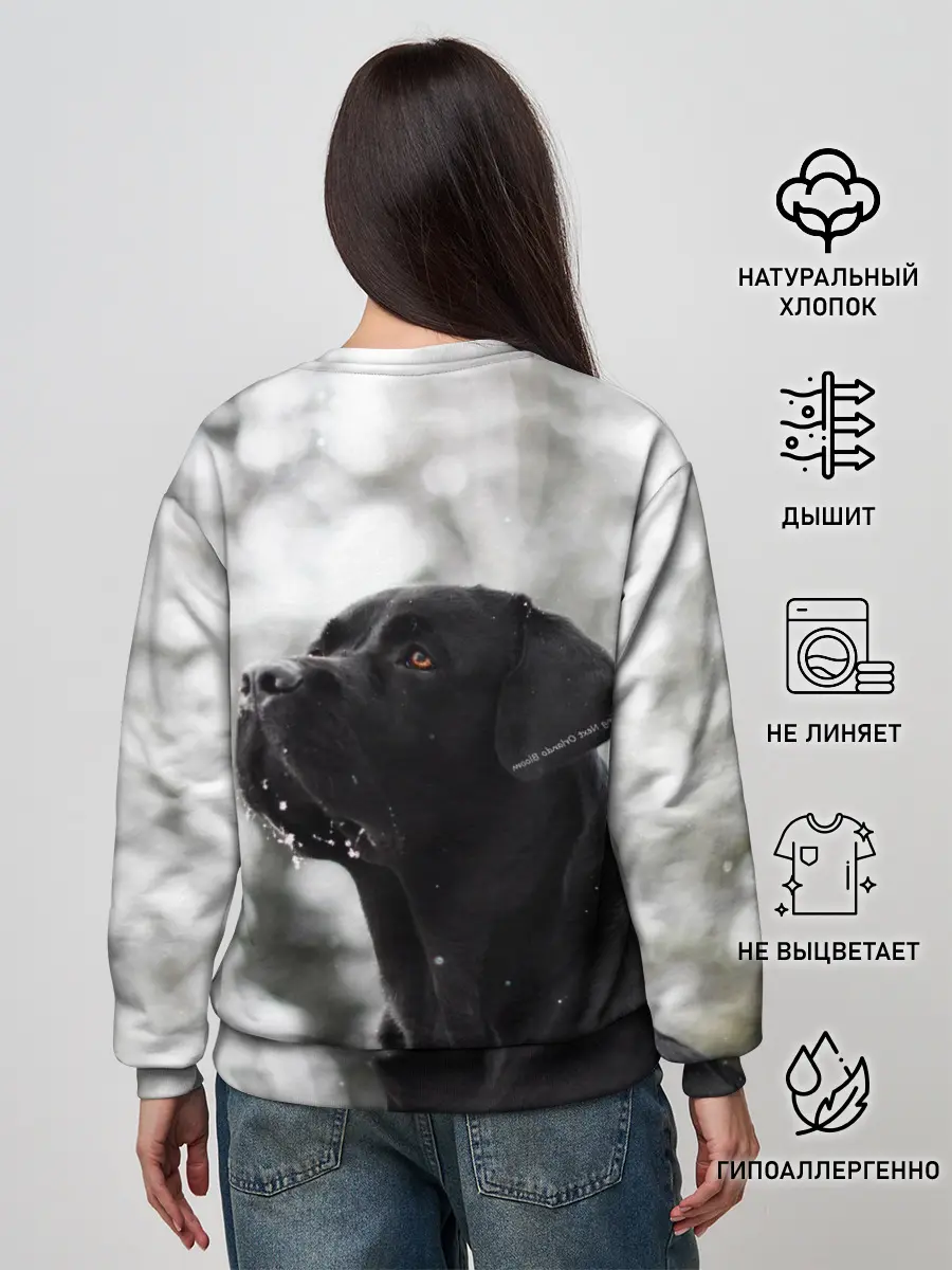 Женский свитшот / Лабрадор Марк