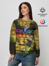 Женский свитшот / CS GO Gold dust