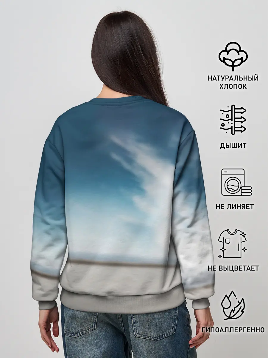 Женский свитшот / Tesla Model 3