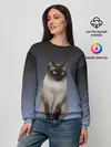 Женский свитшот / сиамская милая кошечка