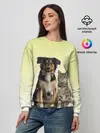 Женский свитшот / кошка и собака друзья