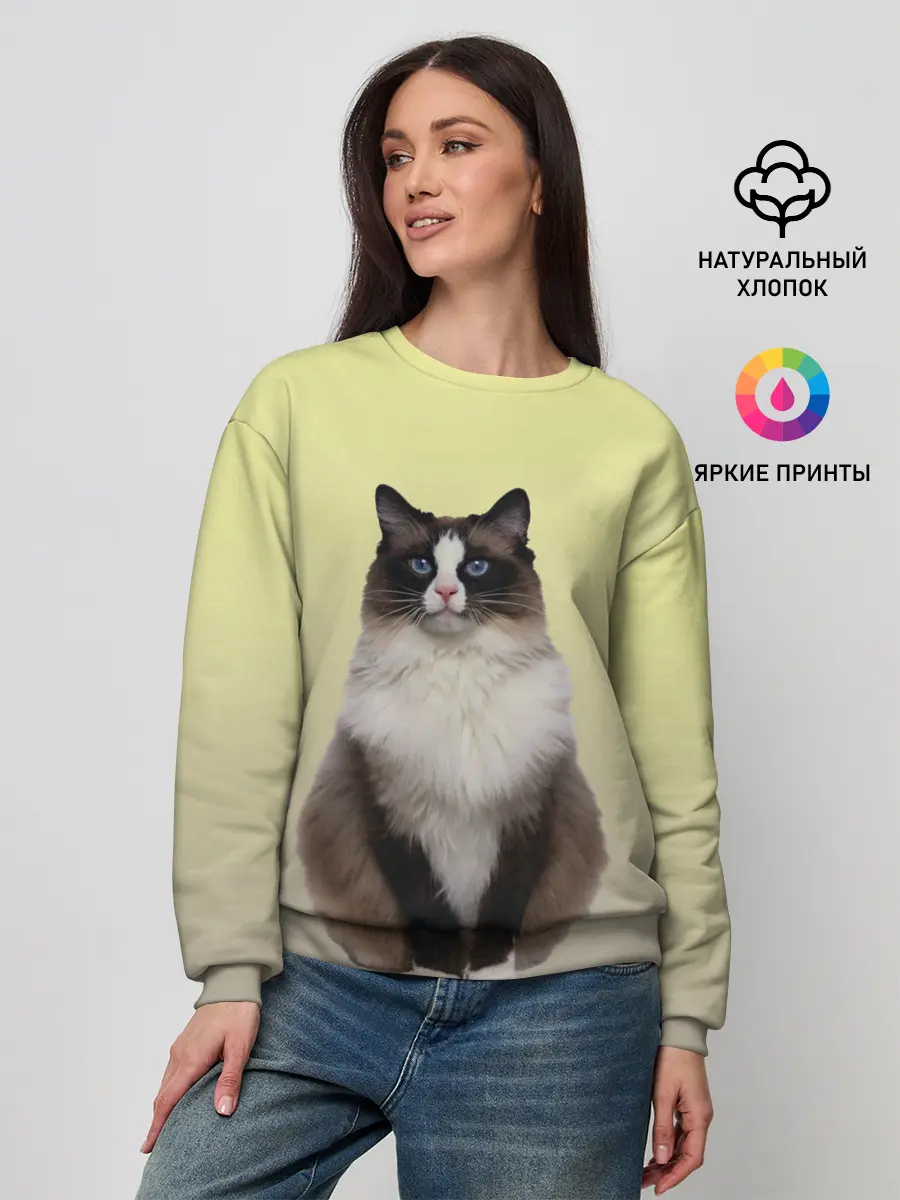 Женский свитшот / персидская пушистая кошка