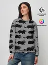 Женский свитшот / Котики