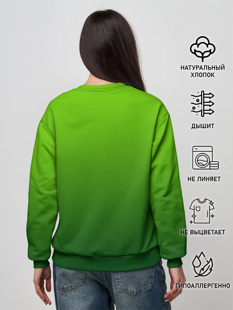 Женский свитшот / земляной анимешный дракон