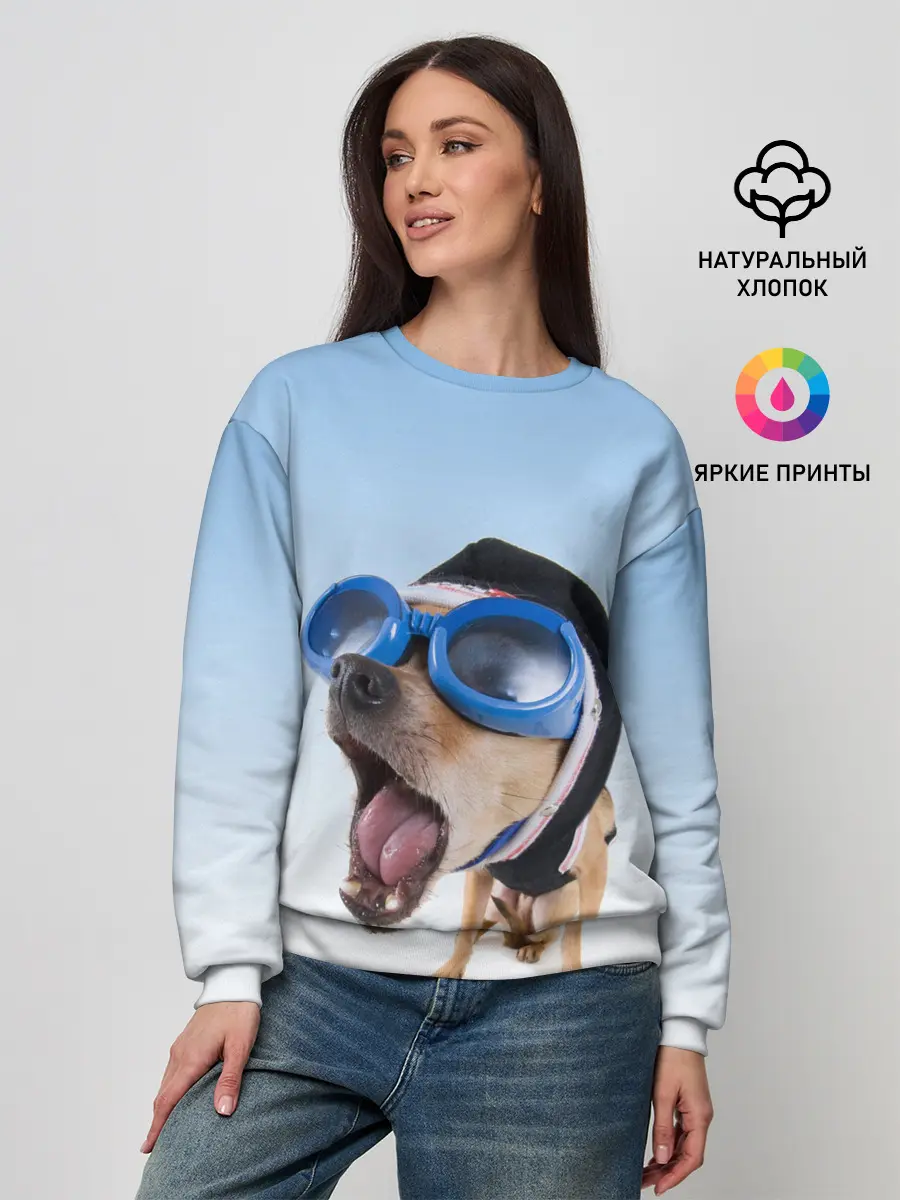 Женский свитшот / собака в очках
