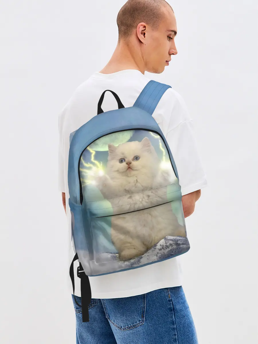 Рюкзак джинсовый / Грозовой Котик