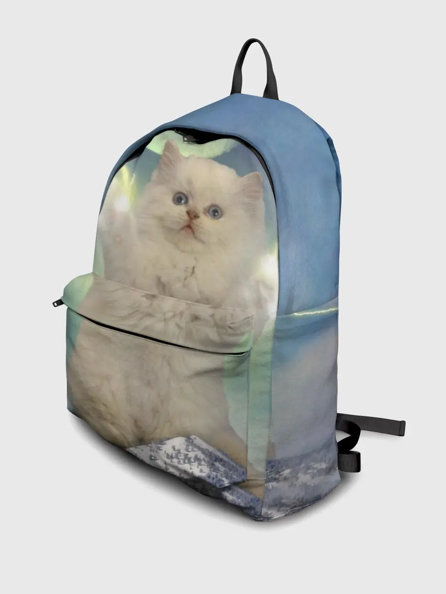 Рюкзак джинсовый / Грозовой Котик