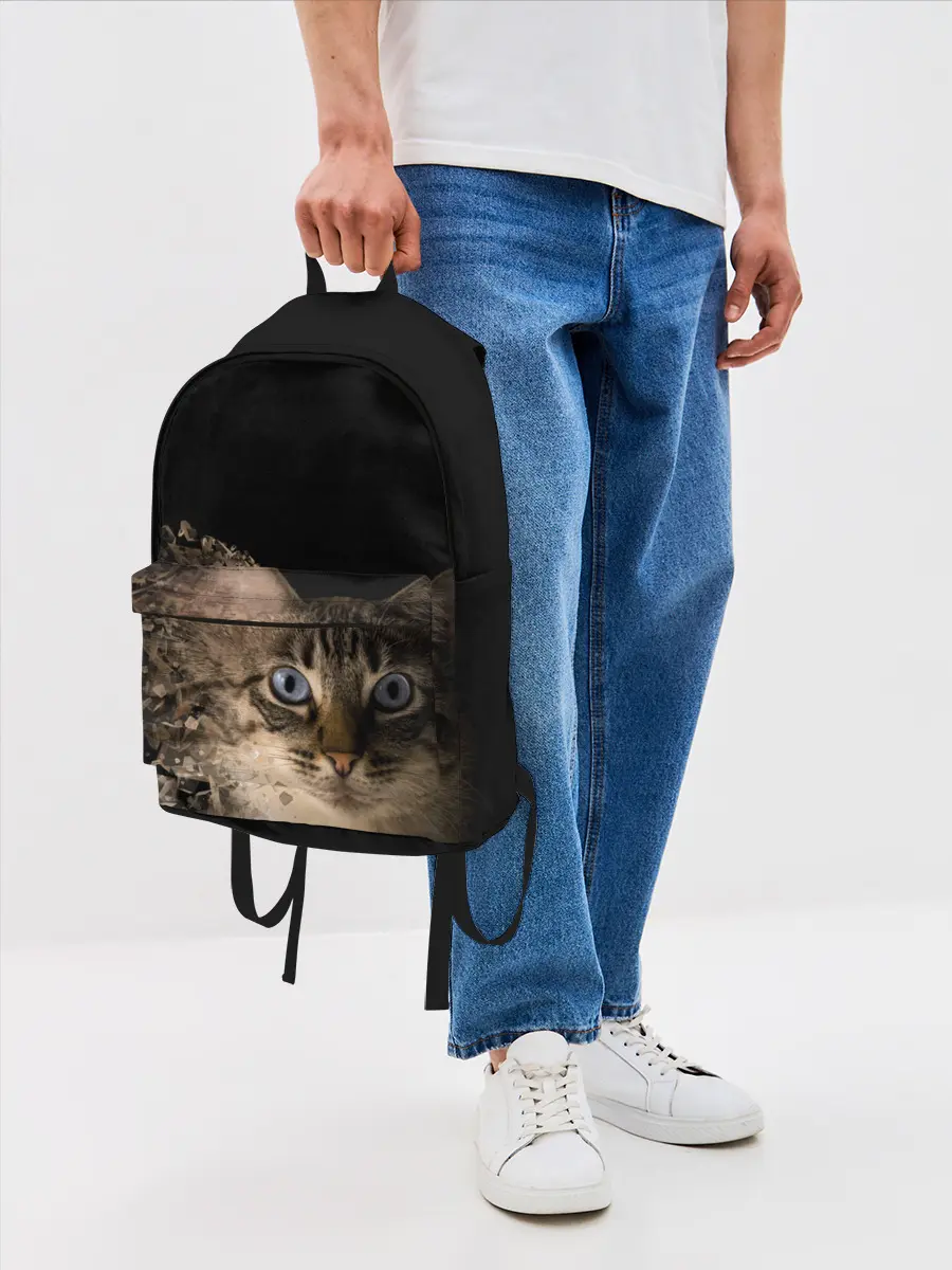 Рюкзак джинсовый / Disintegrating Cat