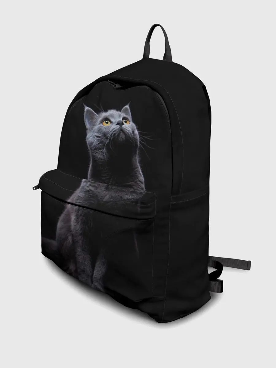 Рюкзак джинсовый / Кот Британец