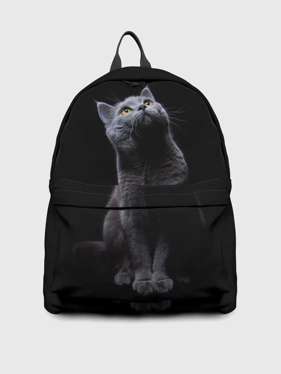 Рюкзак джинсовый / Кот Британец