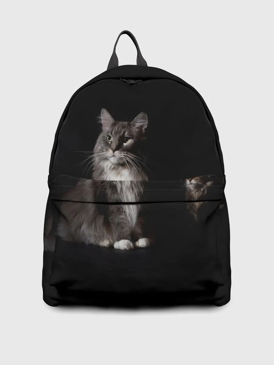 Рюкзак джинсовый / Котики