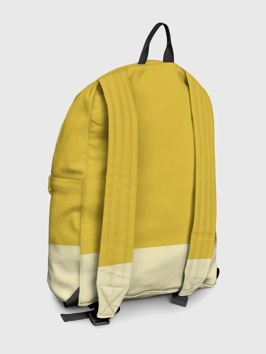 Рюкзак джинсовый / Led Zeppelin