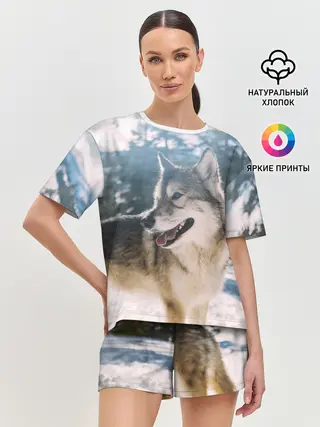 Женская пижама с шортами / Волк и снег