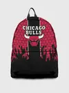 Рюкзак джинсовый / CHICAGO BULLS