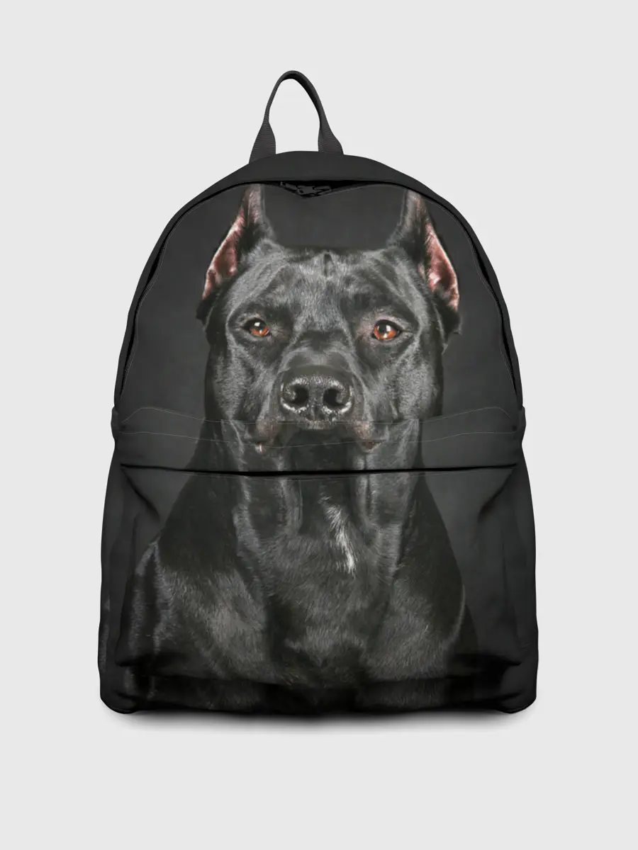 Рюкзак джинсовый / Питбуль