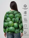 Женский свитшот / Арбузы