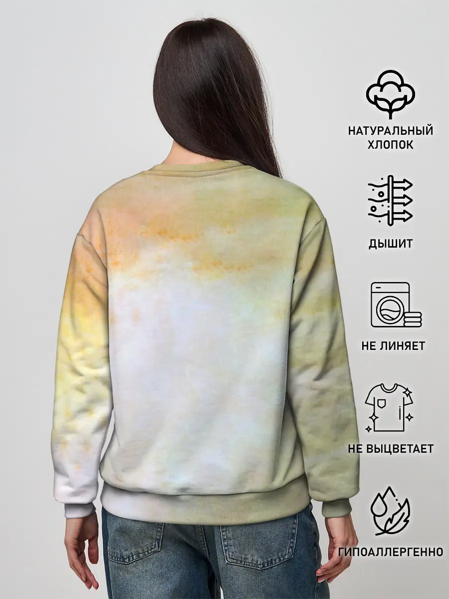 Женский свитшот / Пикник - Египтянин