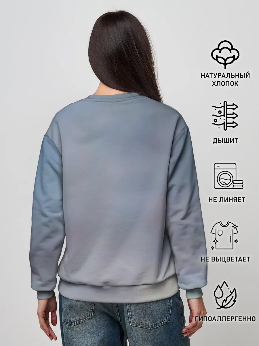 Женский свитшот / Пикник группа