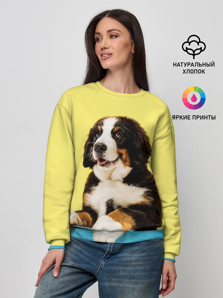 Женский свитшот / Бернский зенненхунд, Berner Sennenhund