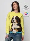 Женский свитшот / Бернский зенненхунд, Berner Sennenhund