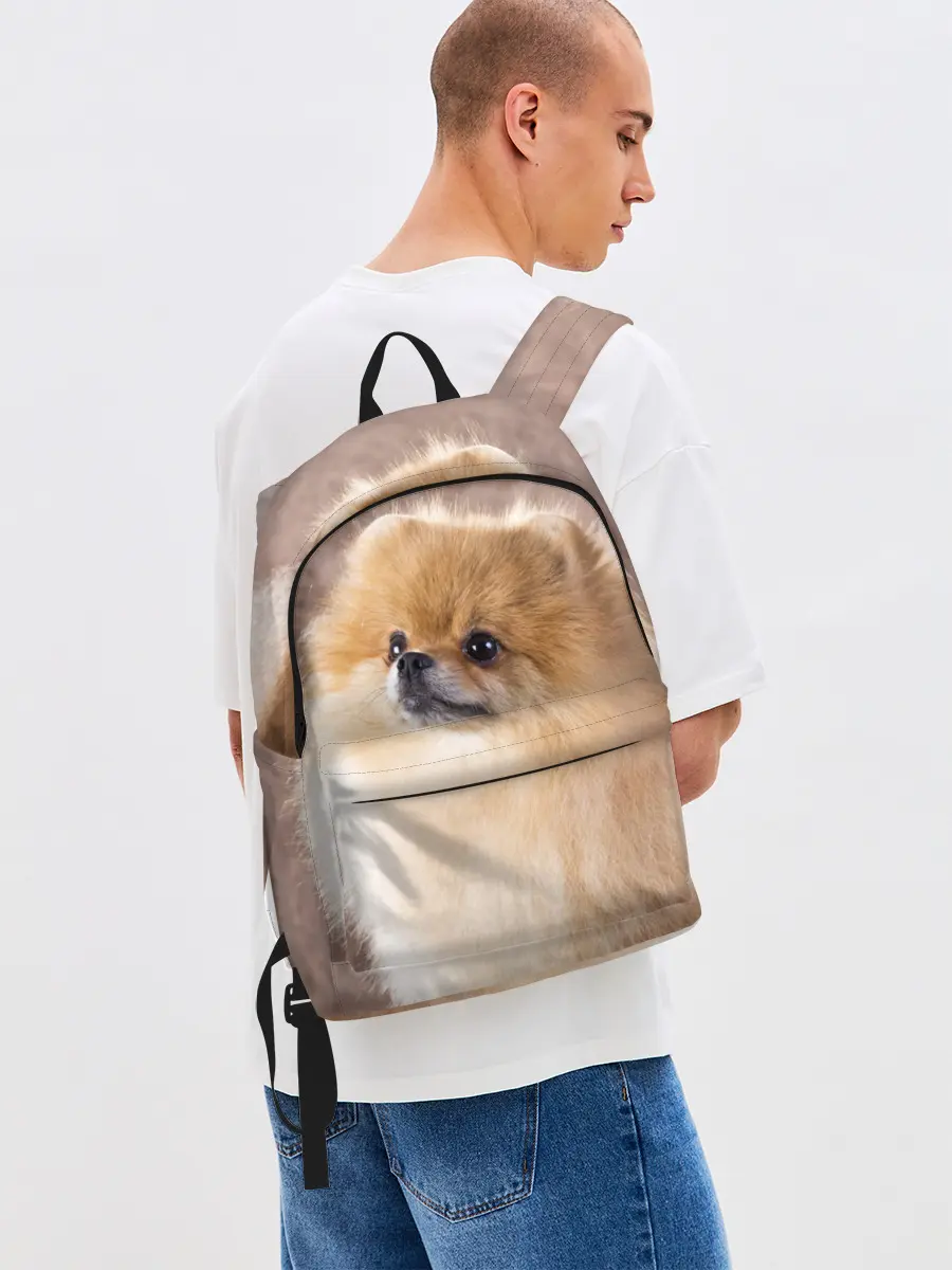 Рюкзак джинсовый / Шпитс