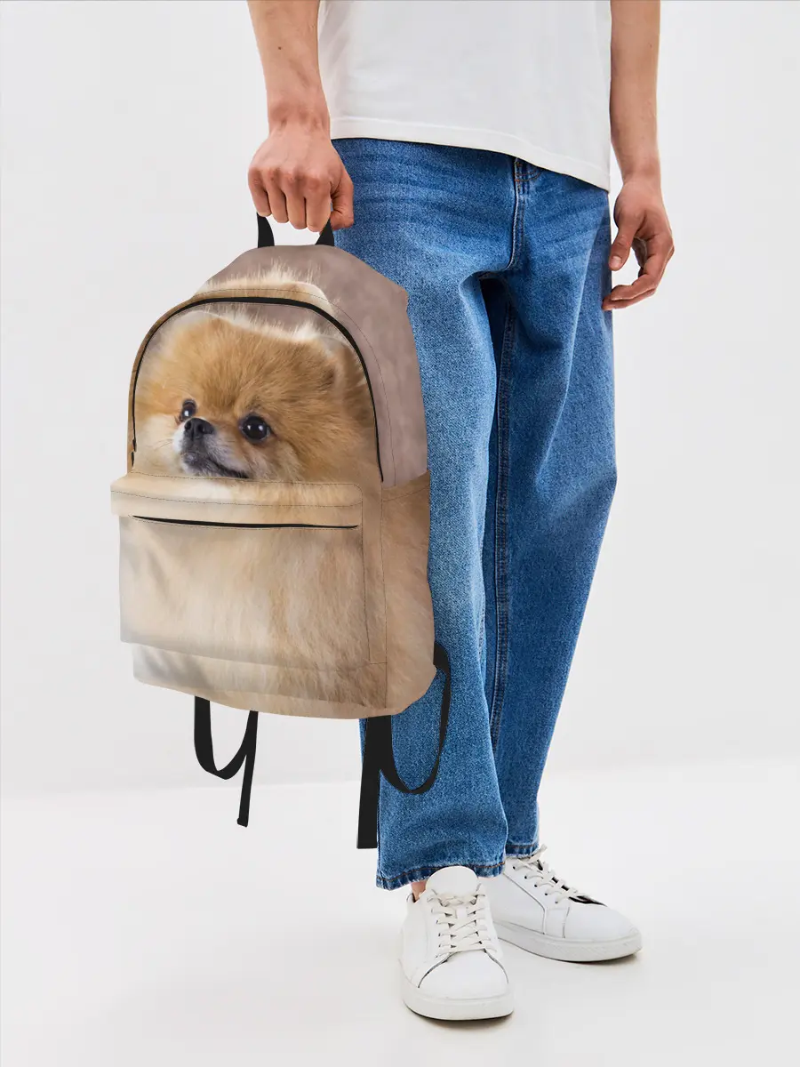 Рюкзак джинсовый / Шпитс